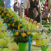 Spring Garden Wedding Reception